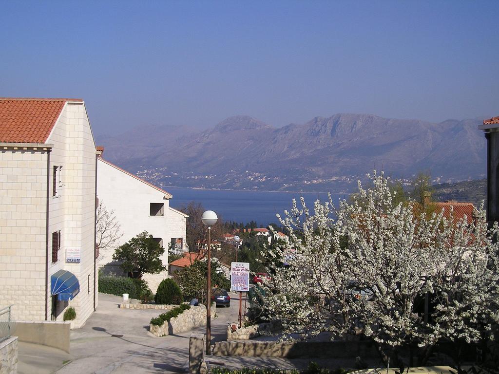 Apartments Zrnic Cavtat Exteriör bild